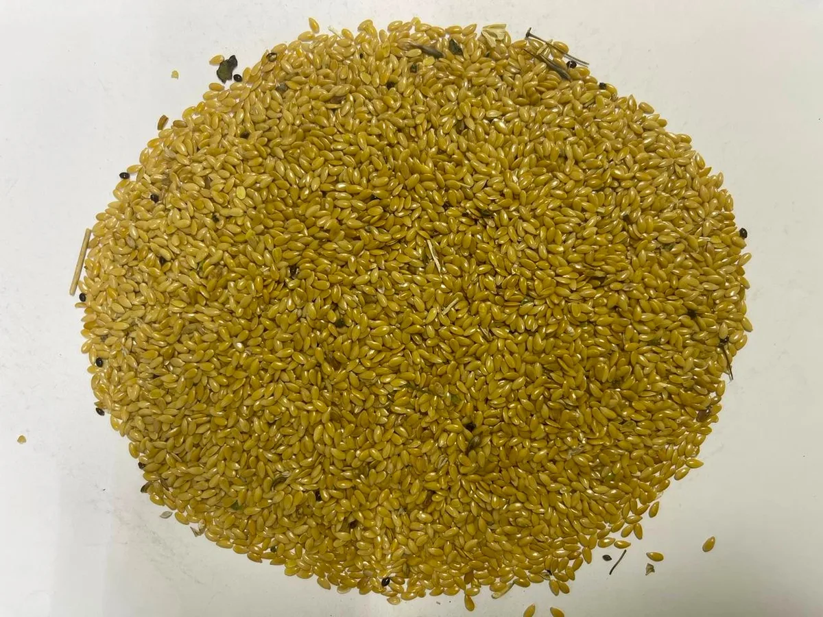 Current lot flaxseed sample media