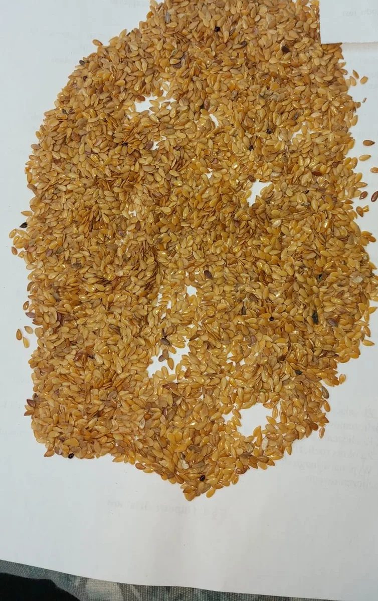 Current lot flaxseed sample media
